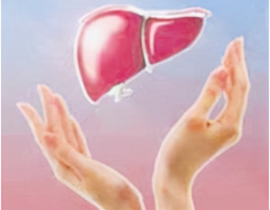 肝硬化症状,肝硬化药