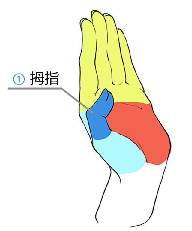 怎么画漫画人物教程简单又好看,漫画手的各种姿势画法