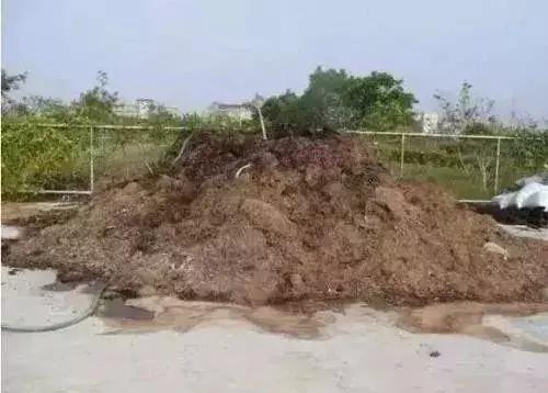 农友:我家有“粪”不用花钱买有机肥?对不起,你的灾难要来了