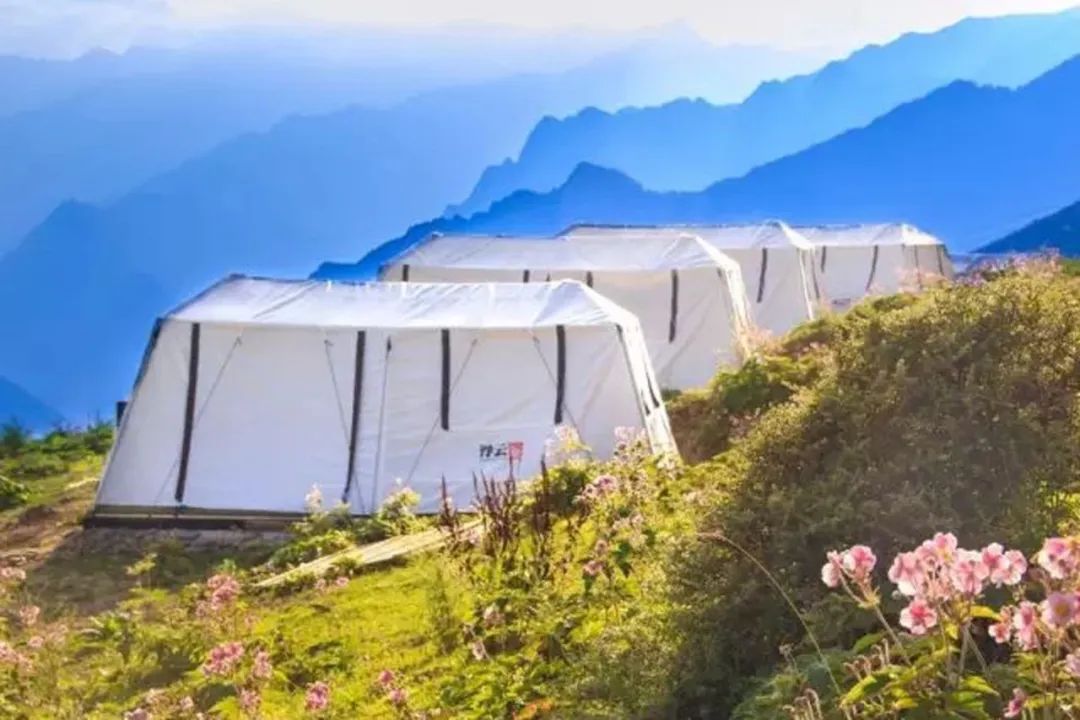 疫情结束房子会降价吗,疫情结束后又发生了什么事