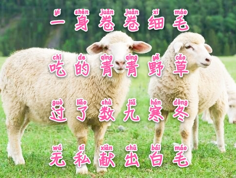 常与孩子猜谜100条儿童谜语建议,经典谜语清单让你的宝宝变聪明