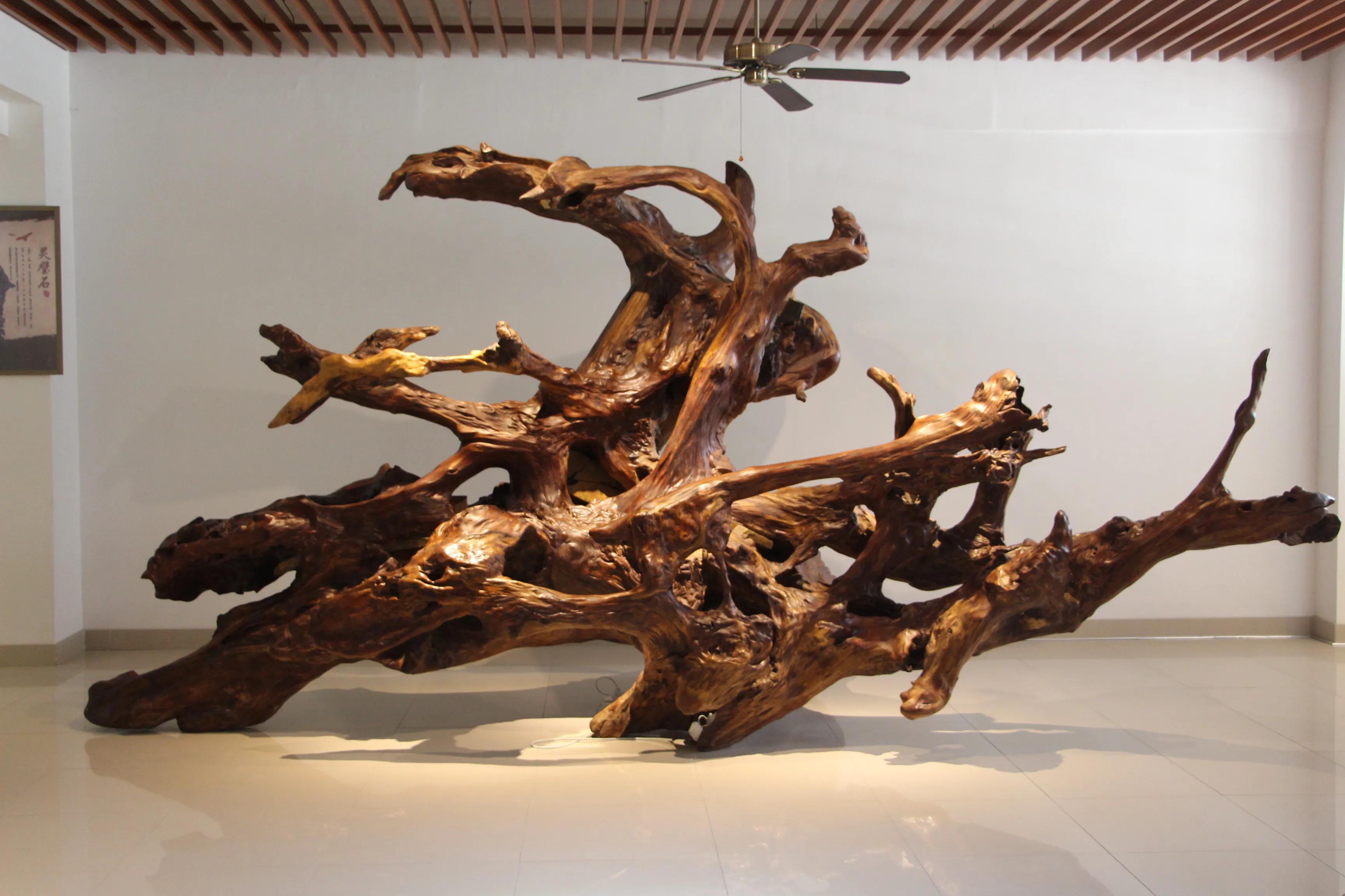 享受阳光-醉爱收藏文化的著名企业家许末兴