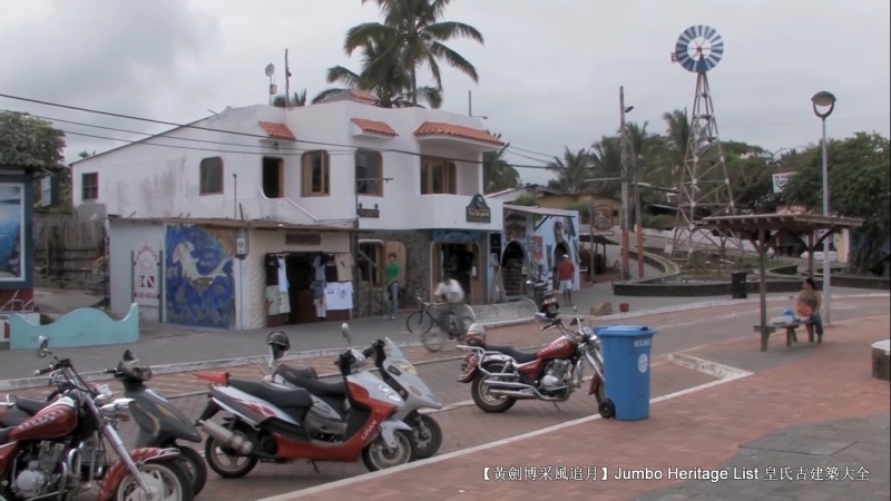 世界上最长寿的象龟多少岁,迄今发现最长寿的龟