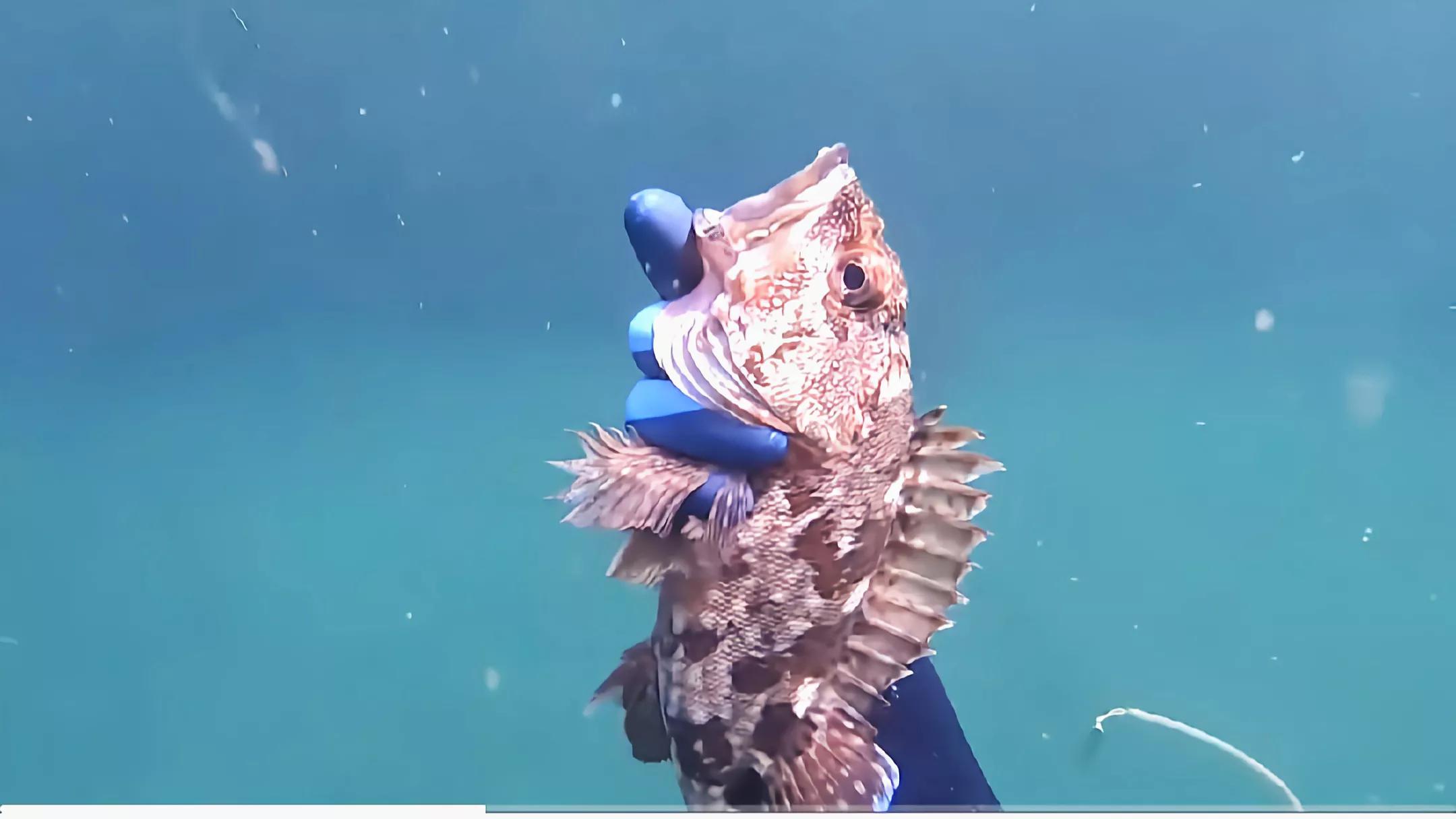 钓不到鱼正确的理解方式,钓不到鱼该怎么说