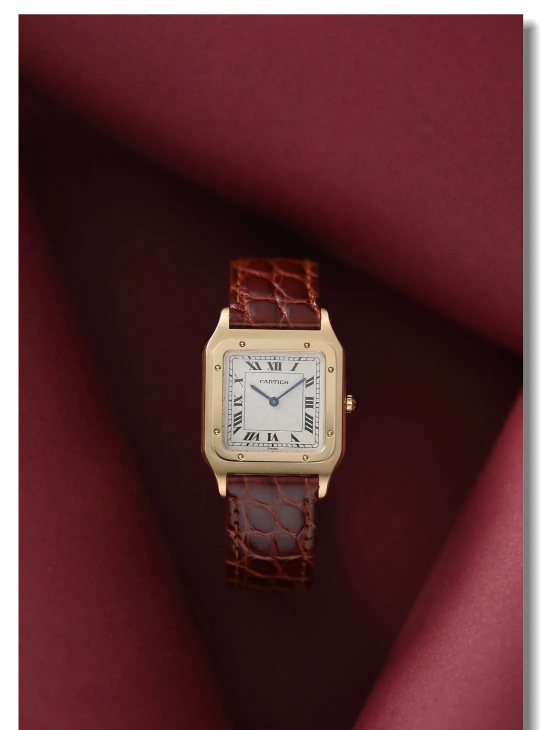 戴安娜腕表,戴安娜戴两支表