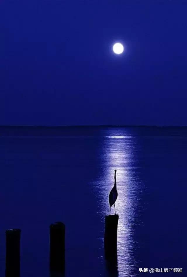 花好月圆中秋快乐视频,花好月圆中秋快乐毛笔字