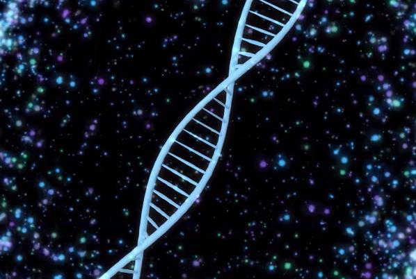 不吃饭但不饿能瘦吗,减肥晚上不吃饭饥饿难耐怎么办