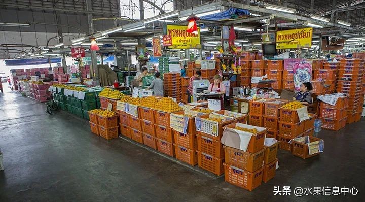 西双版纳水果市场榴莲 (上海亚洲最大的水果批发市场榴莲)