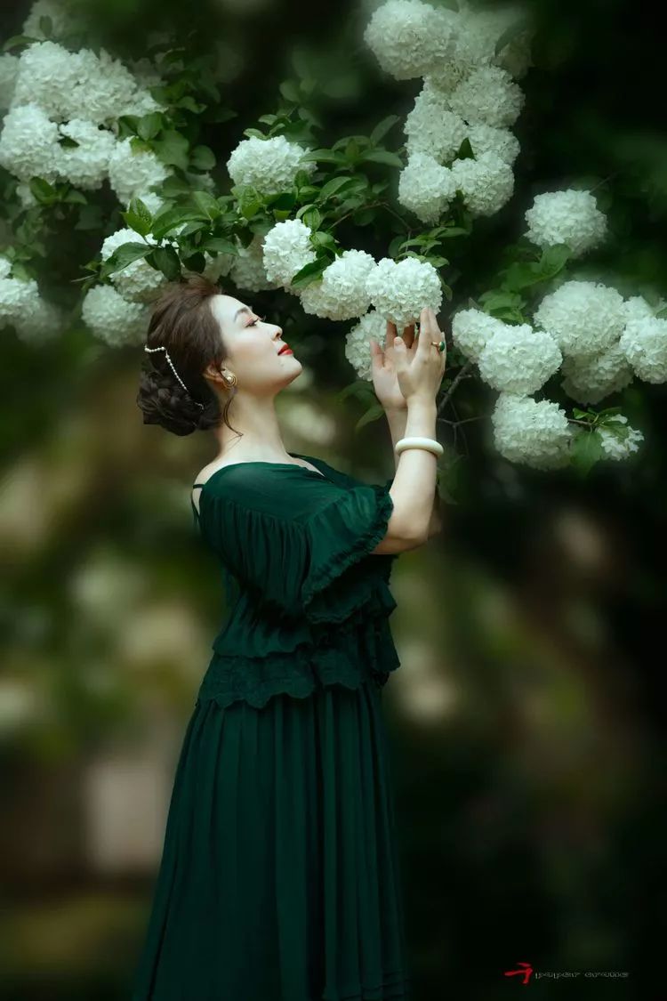 极品女人原唱改编,极品女子提离婚求复婚