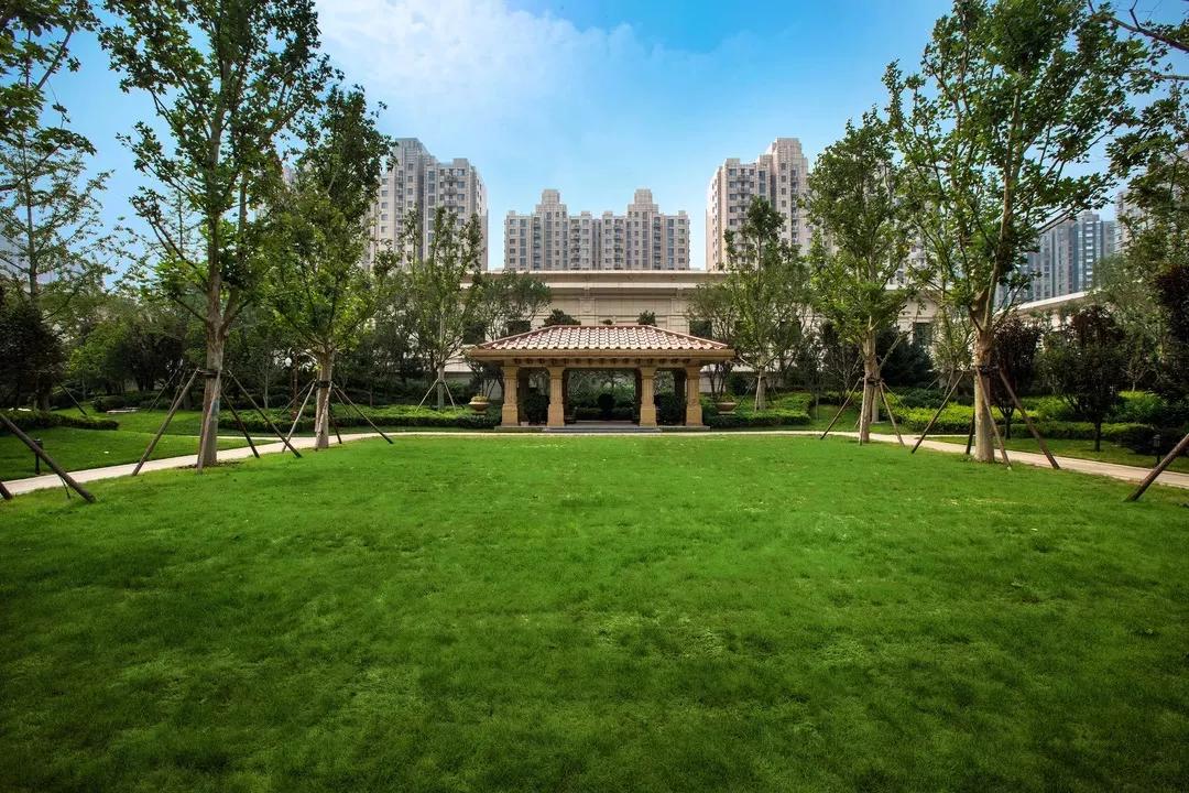 朝阳公园泛海楼盘,泛海国际悦海园哪个楼盘好