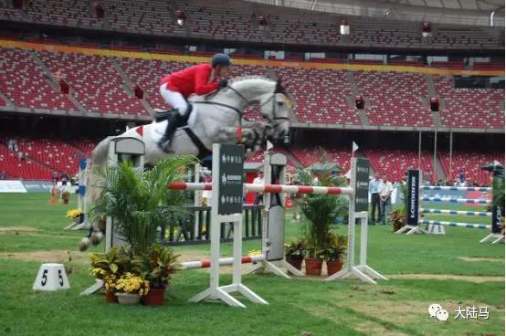 重温鸟巢马术大师赛十年梦之路：赵丽颖林志玲彭于晏现场见证