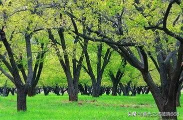 满腹经纶饱读诗书,满腹经纶才高八斗