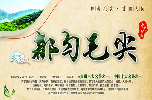 贵州名茶都匀毛尖茶加工技术,都匀毛尖是中国十大名茶英文翻译