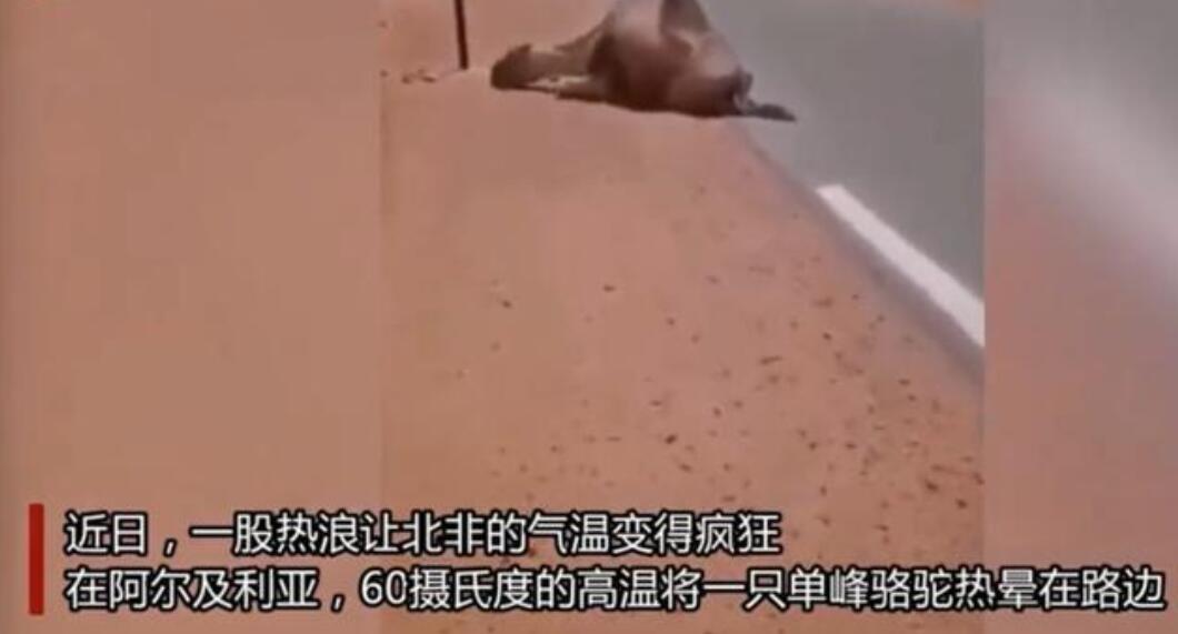 地球变暖宇宙空间会变暖吗,全球变暖什么时候开始降温