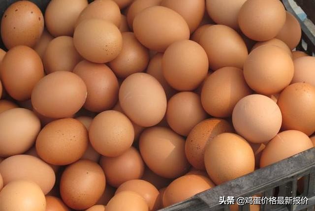 2022年河北馆陶市场今日鸡蛋价格,鸡蛋价格早报2021年10月23日