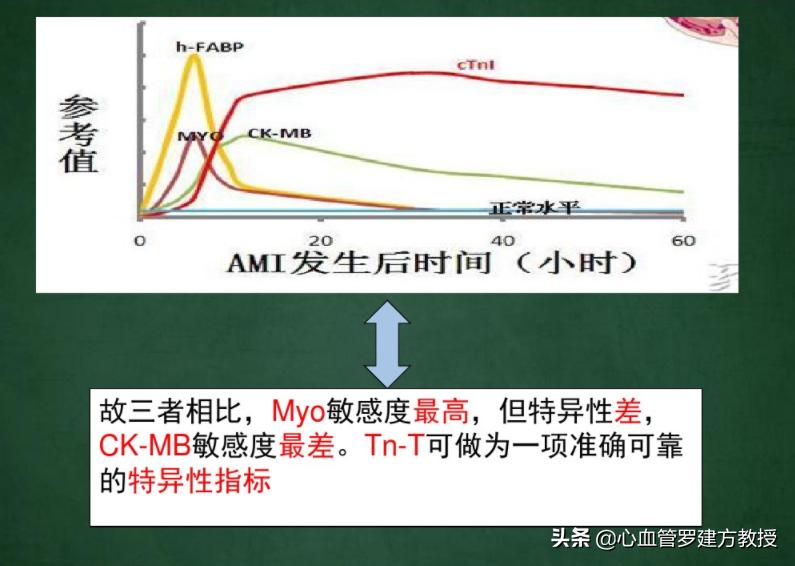 心肌三项中的myo偏高是心梗了吗,心梗三项ck7.42正常吗