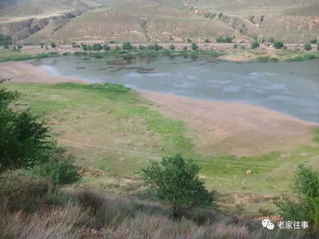 彦淖沟往事------炸鱼