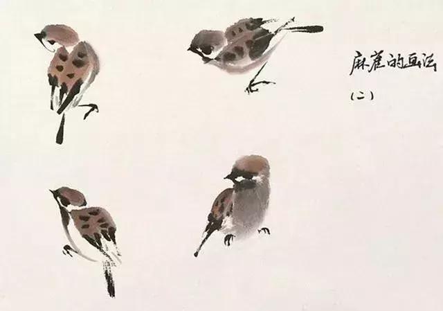 写意花鸟配景石的画法,干货写意花鸟类的画法