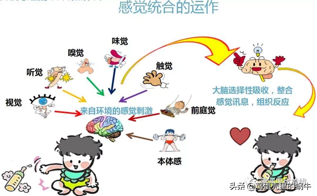 关于儿童自闭症的相关知识,自闭症相关的专业术语