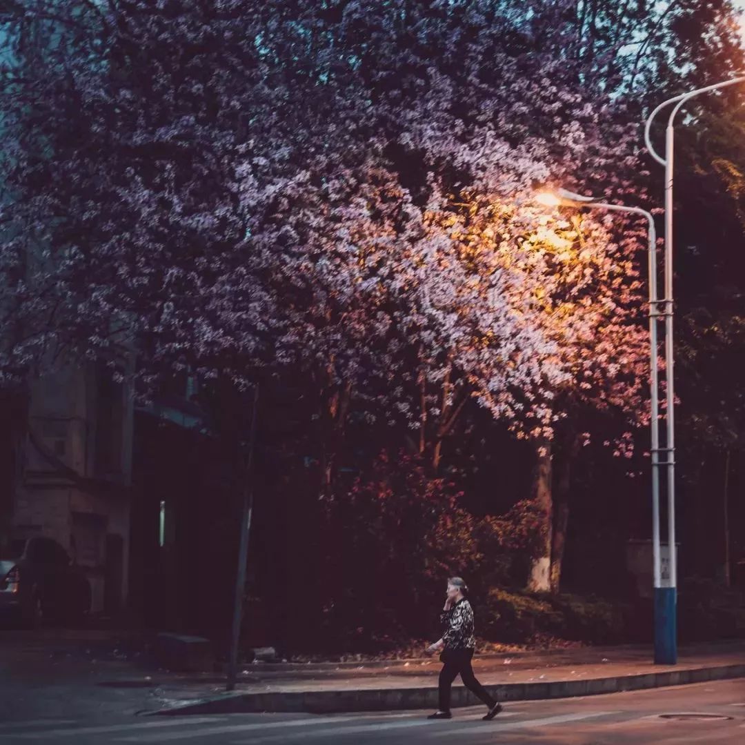 广西有座小城,广西这个宜居小城很低调