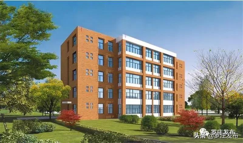 罗庄这个学校厉害了!!!看完好想去上学......