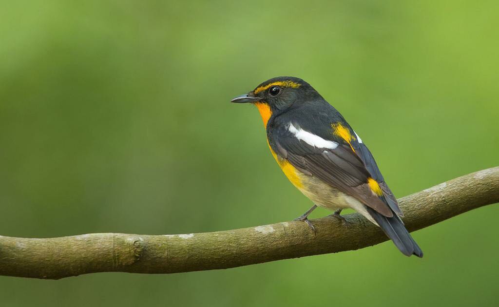 丰都龙景花园避暑房,丰都南天湖避暑房推荐