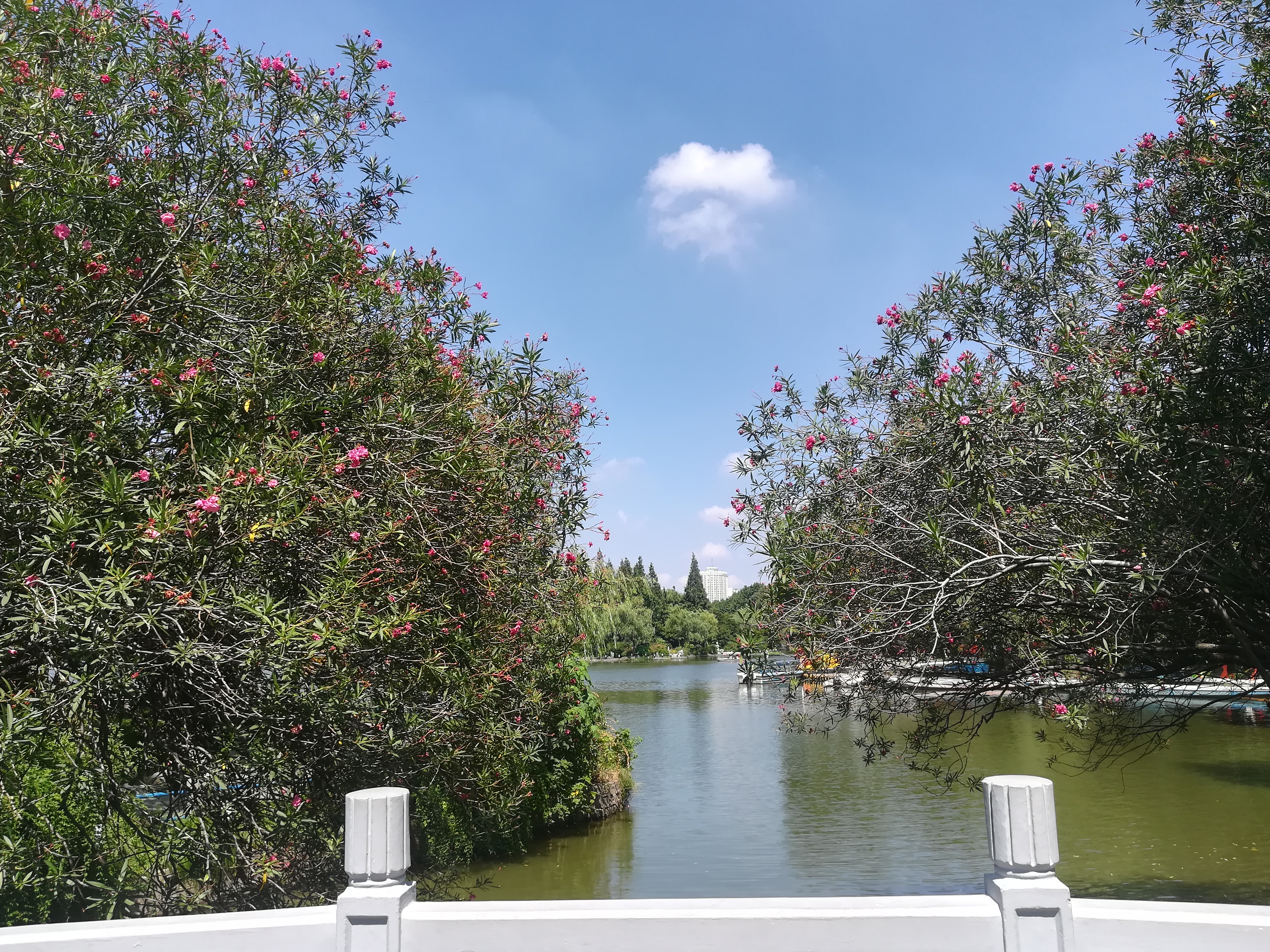 上海长风公园钓鱼,上海长风公园改造计划