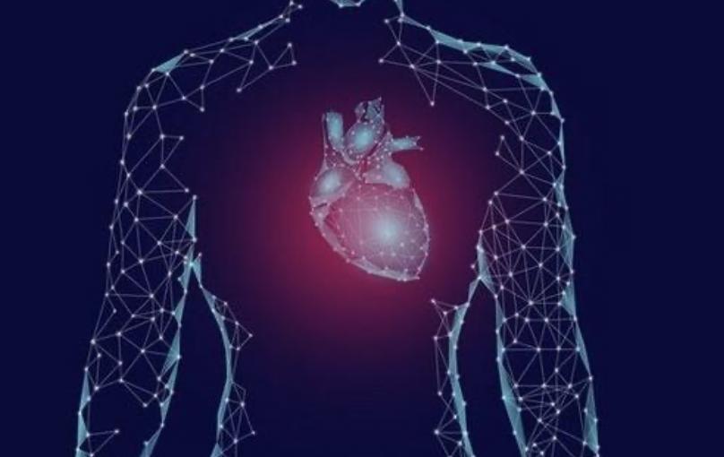 新冠病毒导致心肌受损,新冠病毒侵蚀心脏后遗症