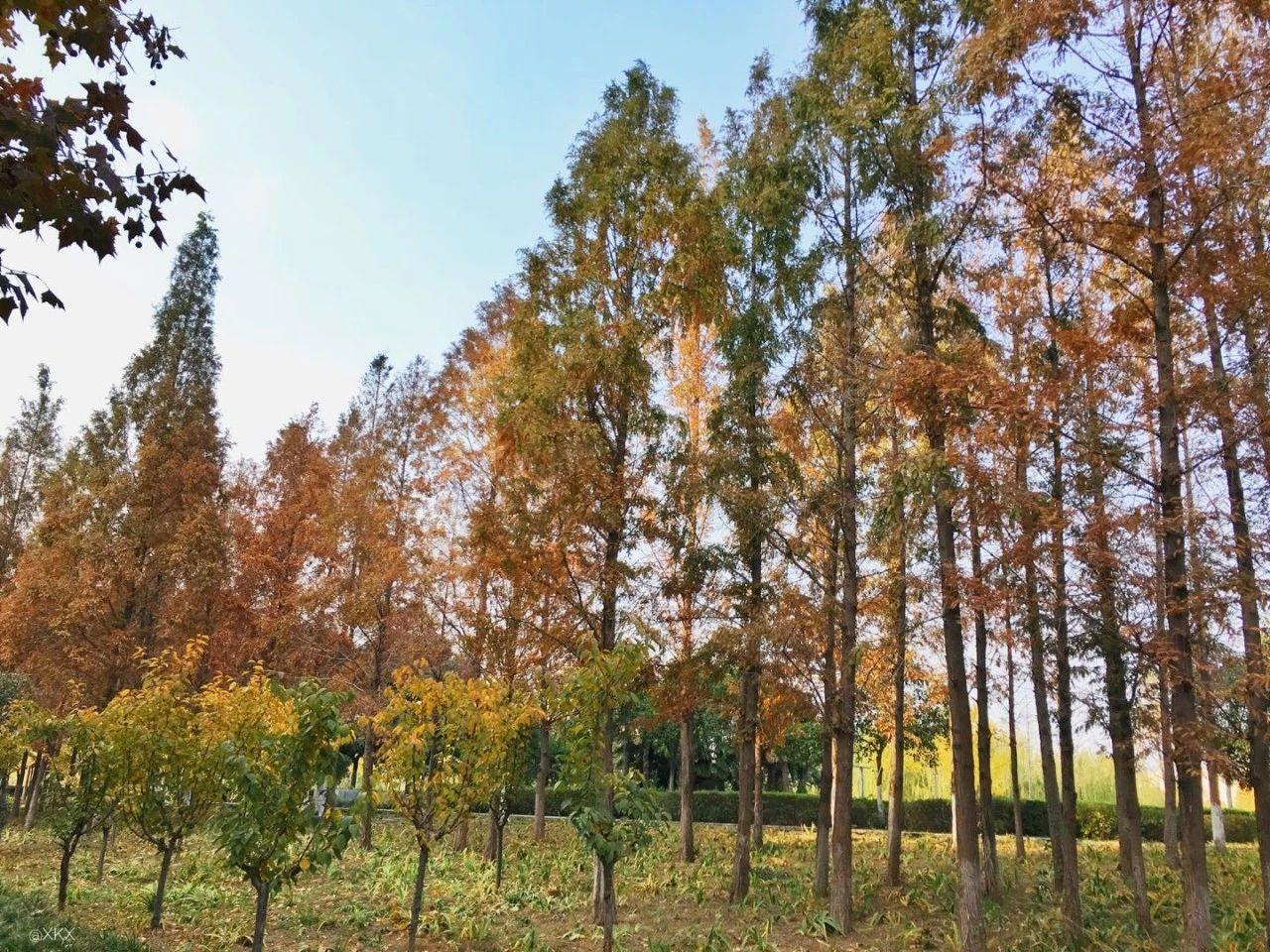娴庡崡骞寸粓鎬荤粨鎶ュ憡,鍚堣偉骞寸粓鎬荤粨鎶ュ憡