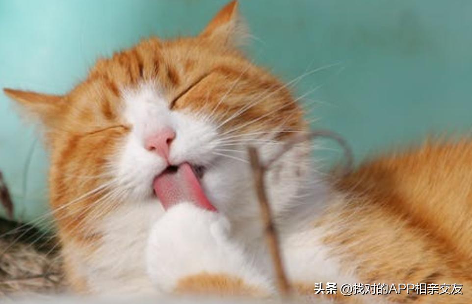 有男朋友还加陌生男性微信,有男朋友还加陌生男人的微信