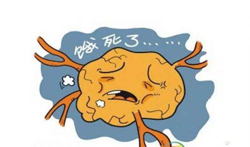 腹部脂肪太难消除了,腹部脂肪怎么通过饮食改善