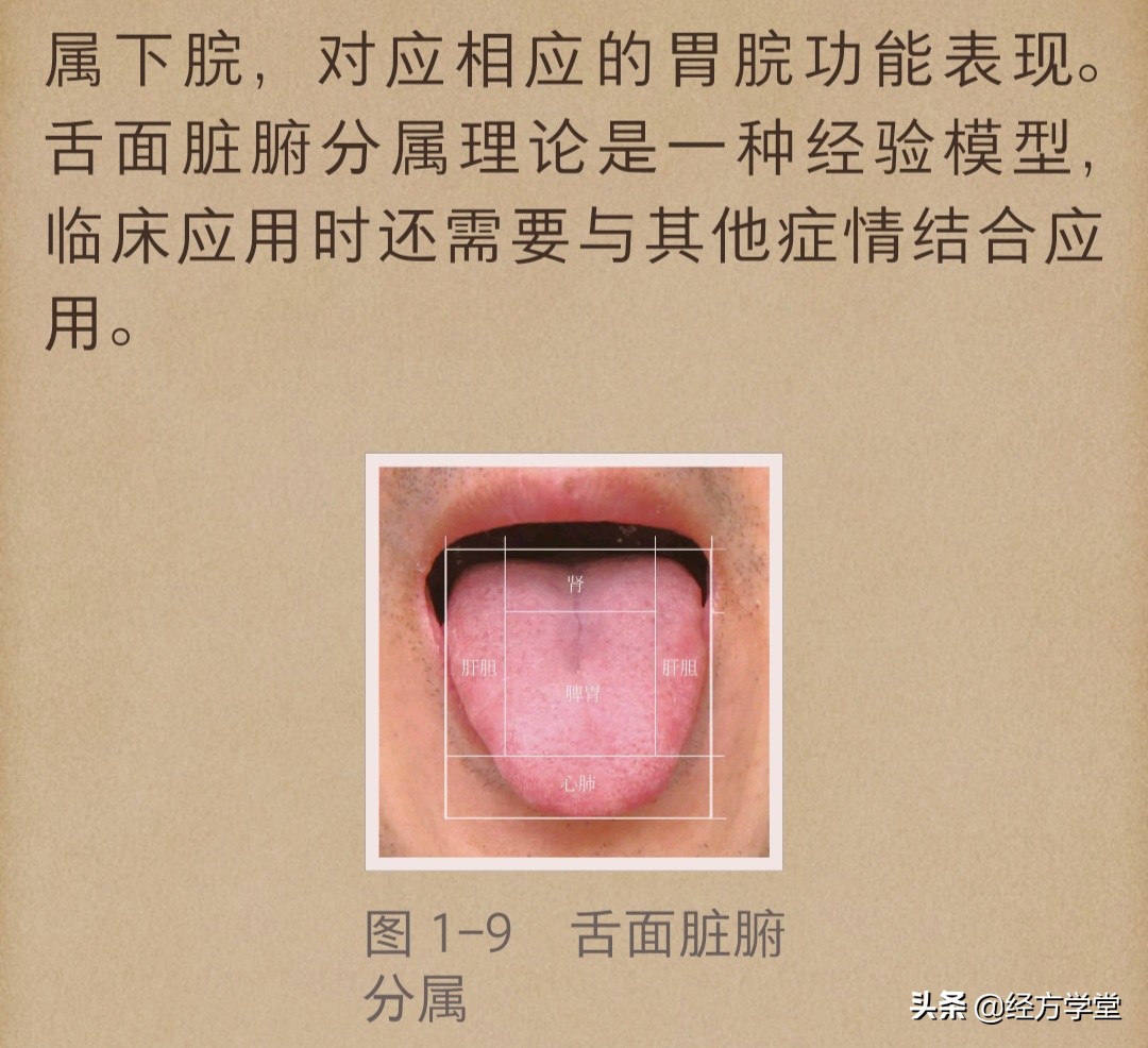 舌诊图片与经方治疗,中医舌诊系统学习