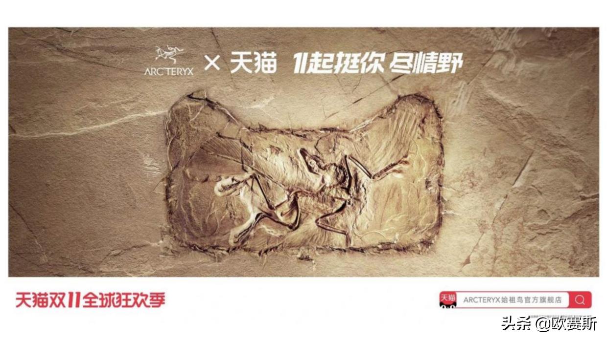 广告画面在商业中的价值（下）|欧赛斯品牌设计