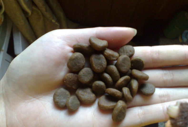 渴望六种鱼猫粮靠谱吗,渴望六种鱼猫粮是什么味道的