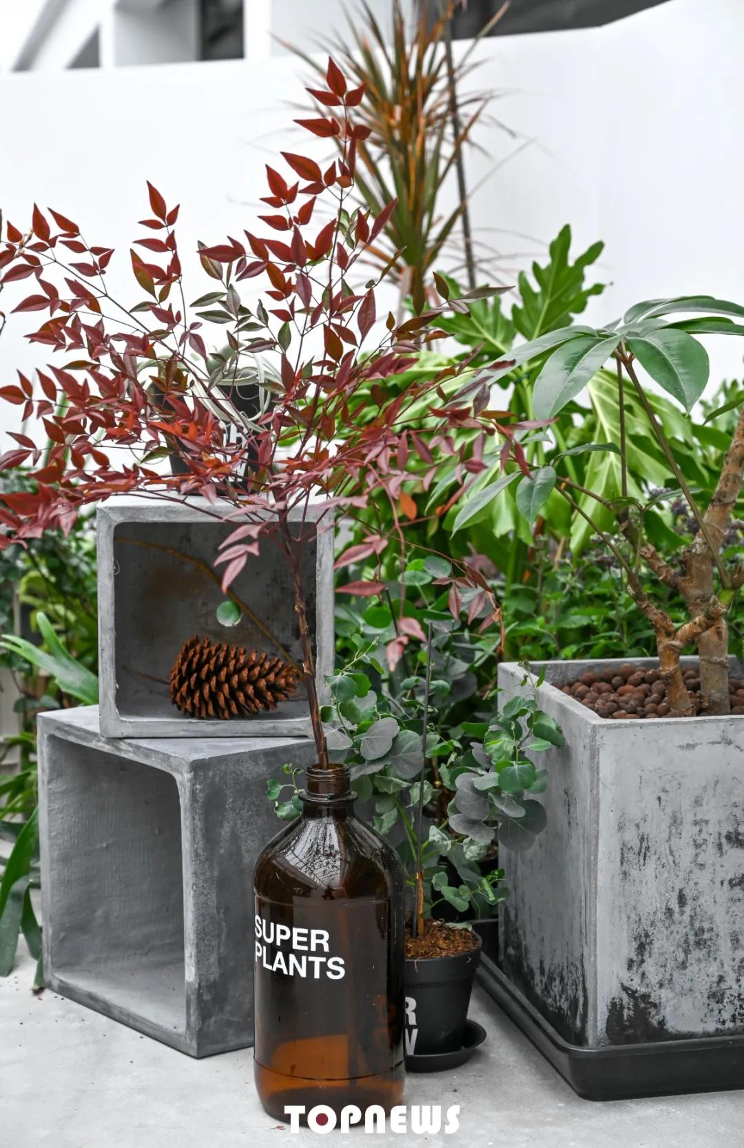 瞒不住了！魔都新晋小众创意园，随手一拍就是时尚大片