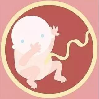 中医这个专业叫什么,中医到底是一门科学吗