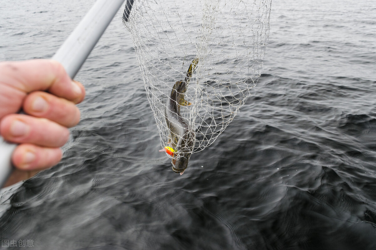 连续三年亏损净利润为负,三五互联连续亏损为什么没退市