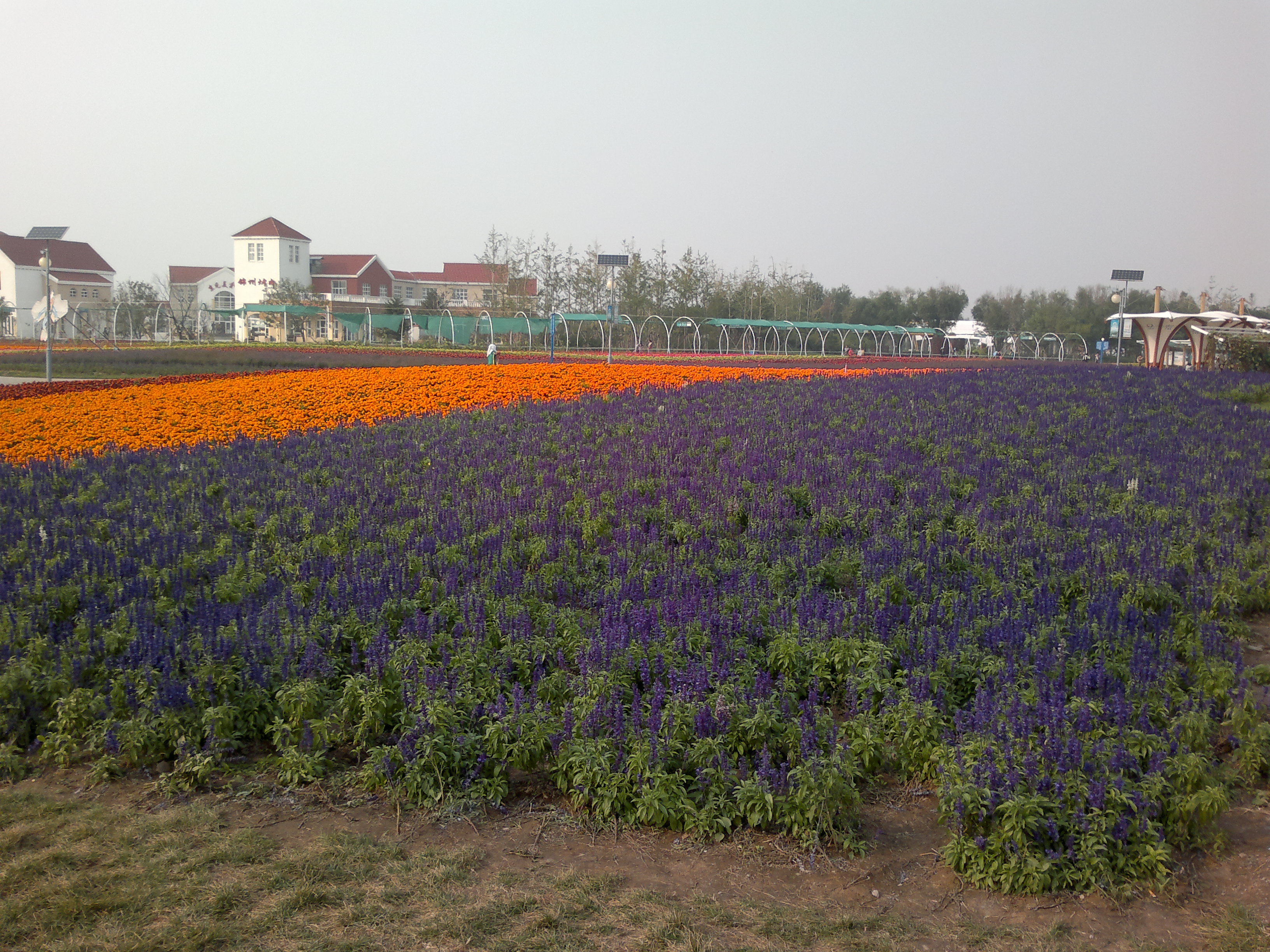 锦州世博园最好的地方,锦州世博园最佳游玩时间