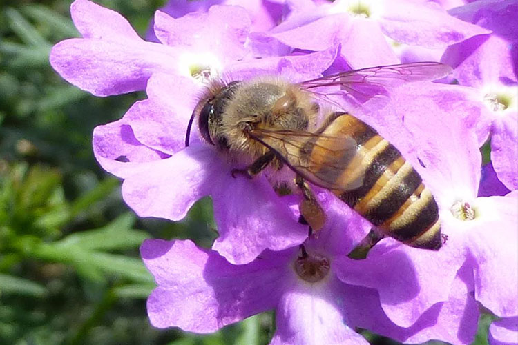 进化论真的就是我们人类的起源吗,物种起源和进化论有什么区别