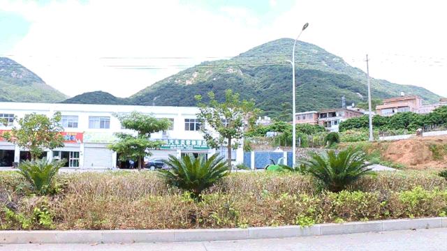 泉州这家印尼华侨开的“三无”小破店，12年了居然还没倒闭