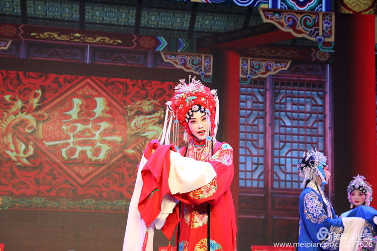 曲剧花为媒经典唱段全场,曲剧花为媒报花名完整唱段