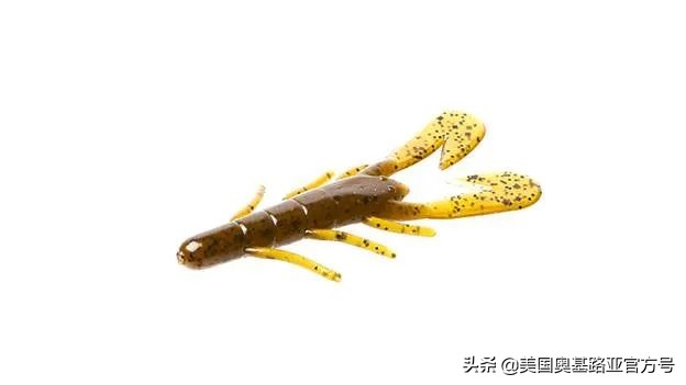 全国各地渔具展,全国渔具展2024