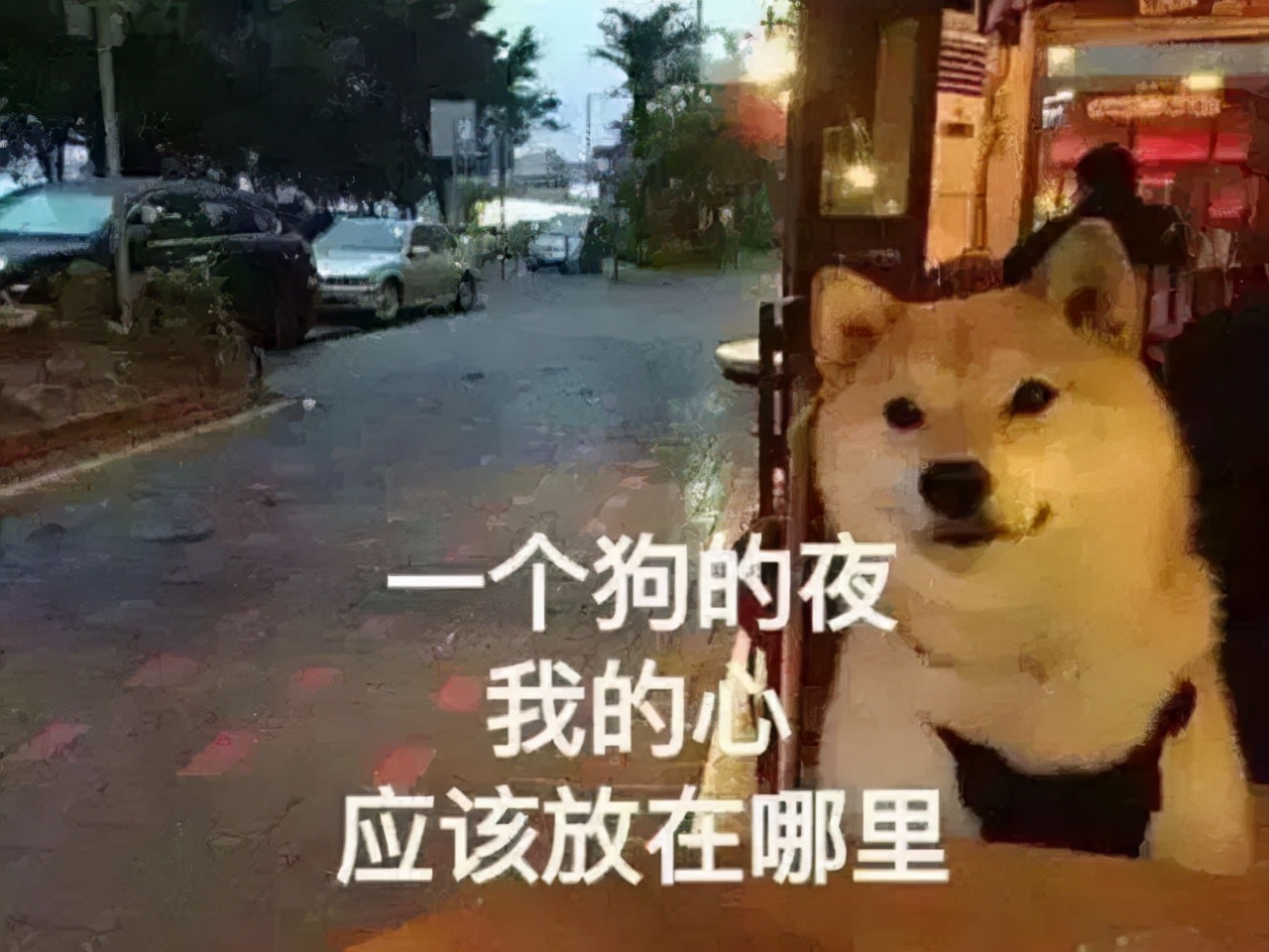 2022年餐饮怎么交税 (餐饮的手撕发票怎么交税)