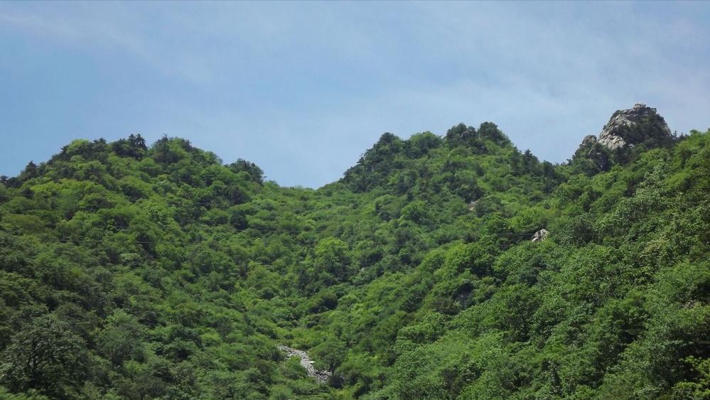 河南发现大型金矿价值超百亿,河南发现特大型金矿大概多少元