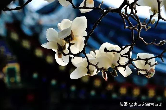 人生十首孤独绝美的诗词,闲适诗词50首