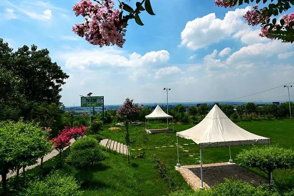 洛阳冷门景点,洛阳冷门好玩的地方