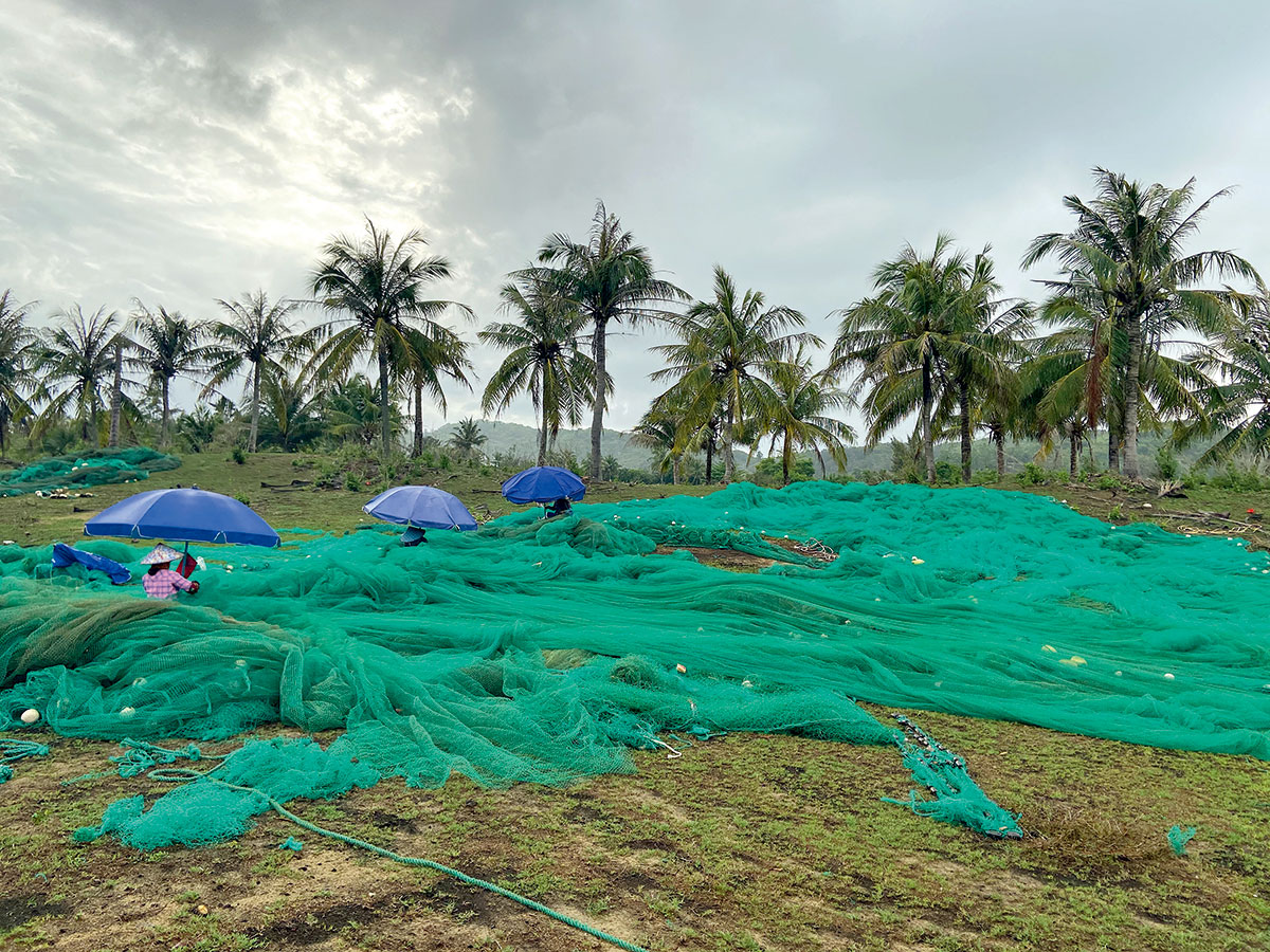 一年亏损600万元，整改过关又倒闭，海南高尔夫球场“变身”放牛场