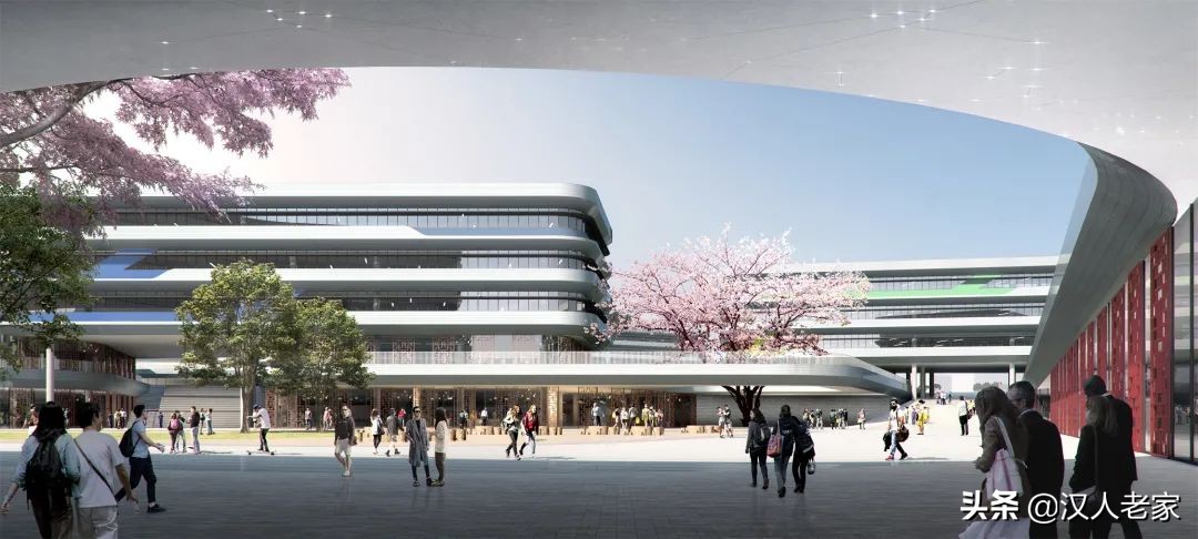 兴汉新区建多少所学校,24所学校名单