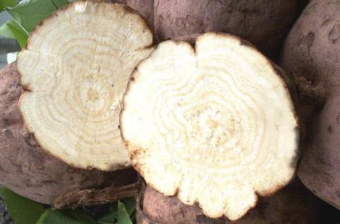 泰国野葛根中国出售么,泰国葛根和中国葛根区别