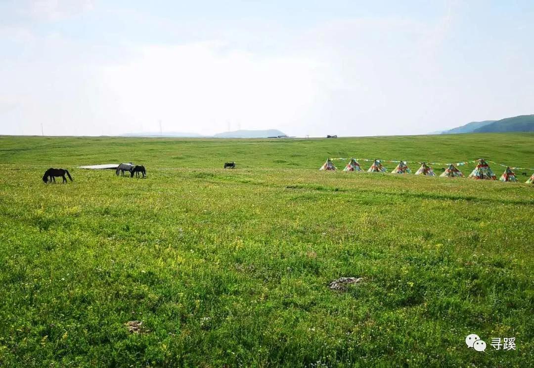 内蒙古大草原自驾游精品线路,辉腾锡勒草原黄花沟旅游攻略